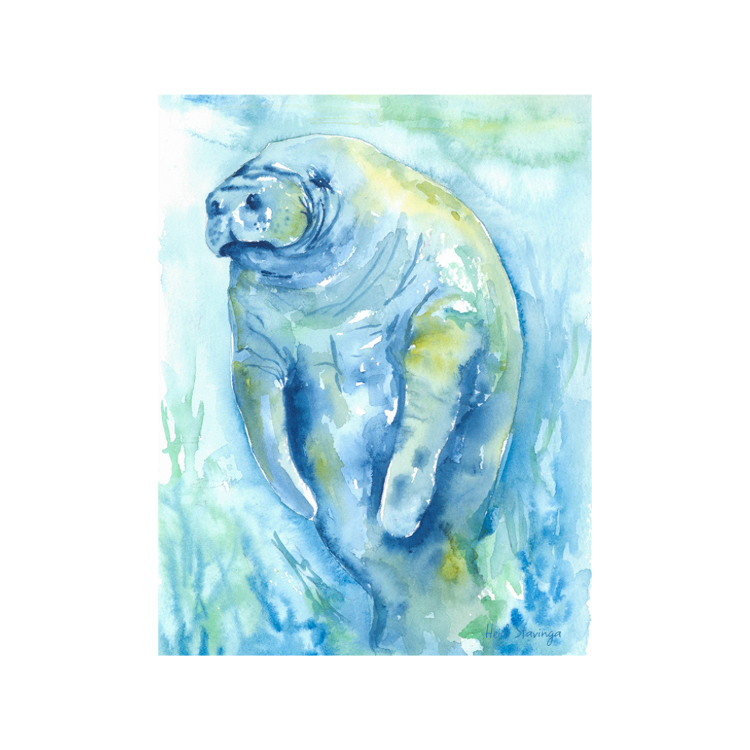 GENTLE DRIFTER FINE ART PRINT A keepsake from their earliest days.